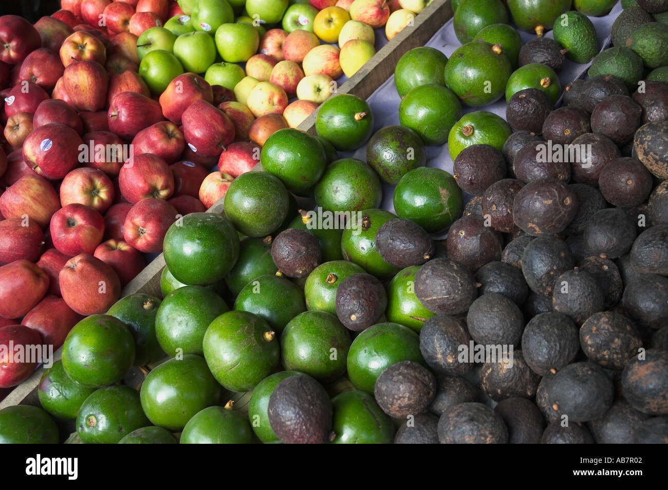fruits of costa rica + pictures