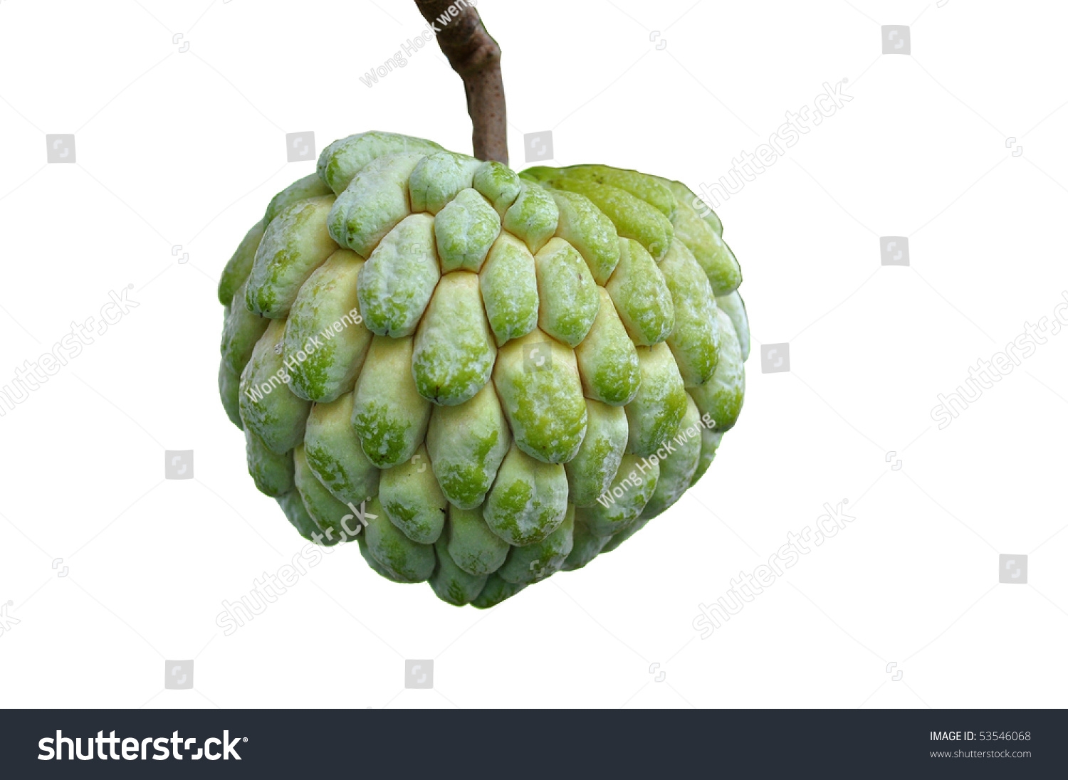 Atis Fruit Clipart 20 Free Cliparts Download Images On Clipground 2024