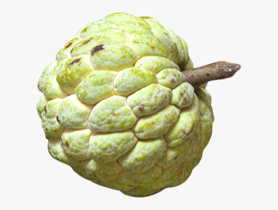 atis fruit picture
