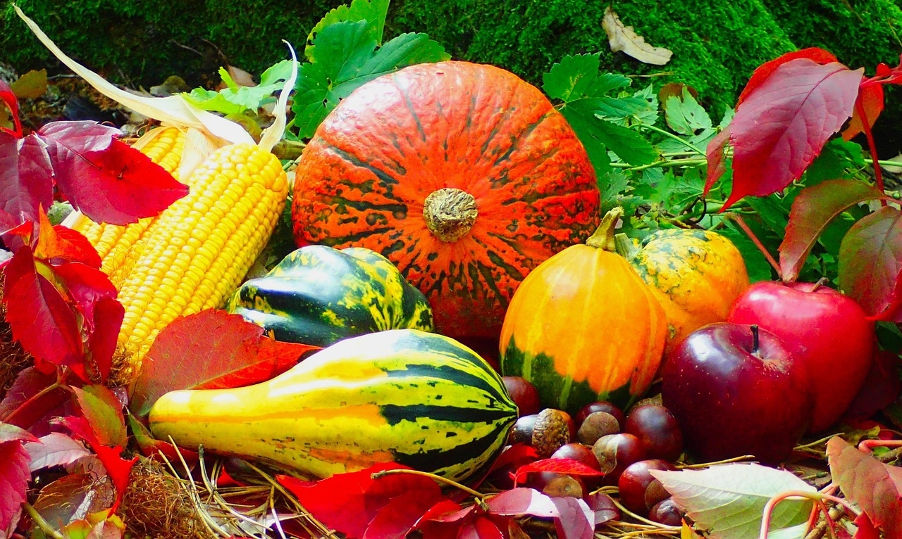 Autumn Fruits Assorted Free Photo On Pixabay