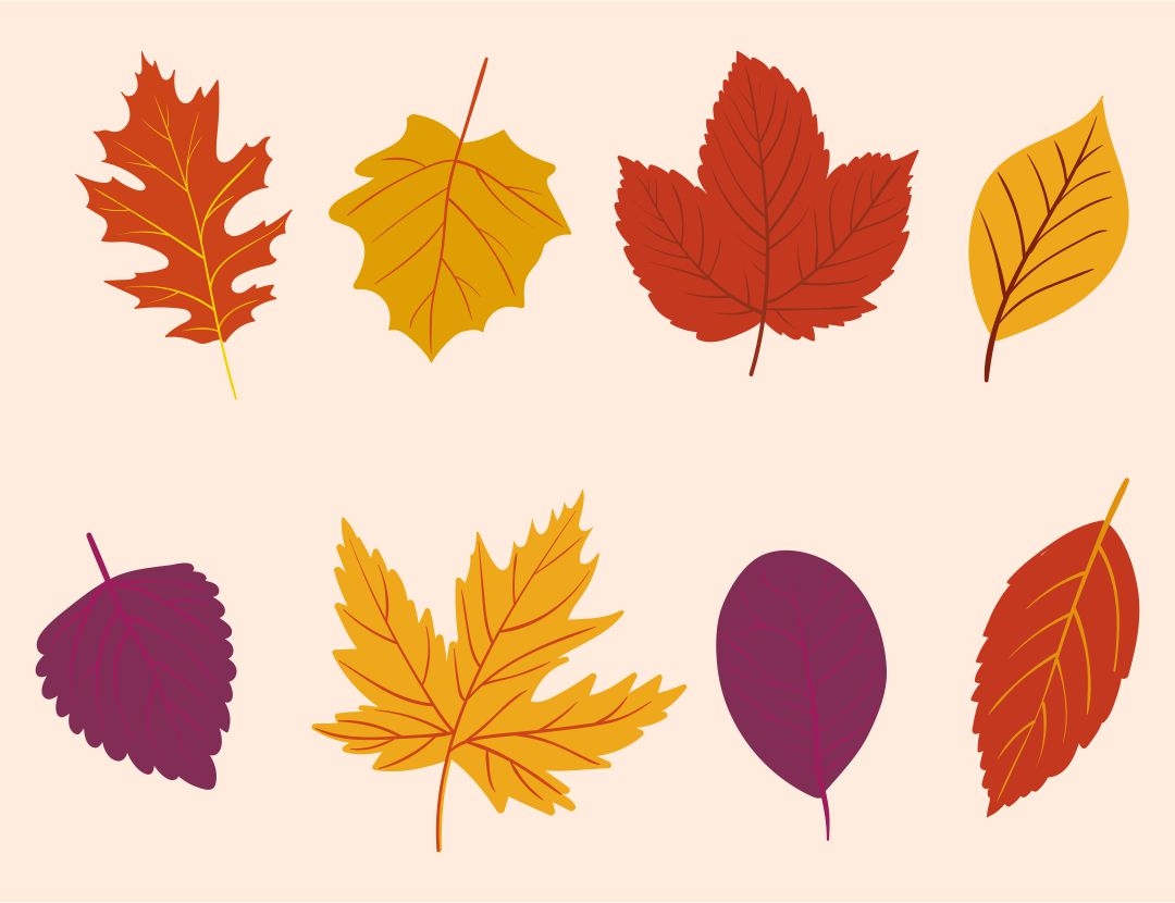 free printable pictures of autumn leaves