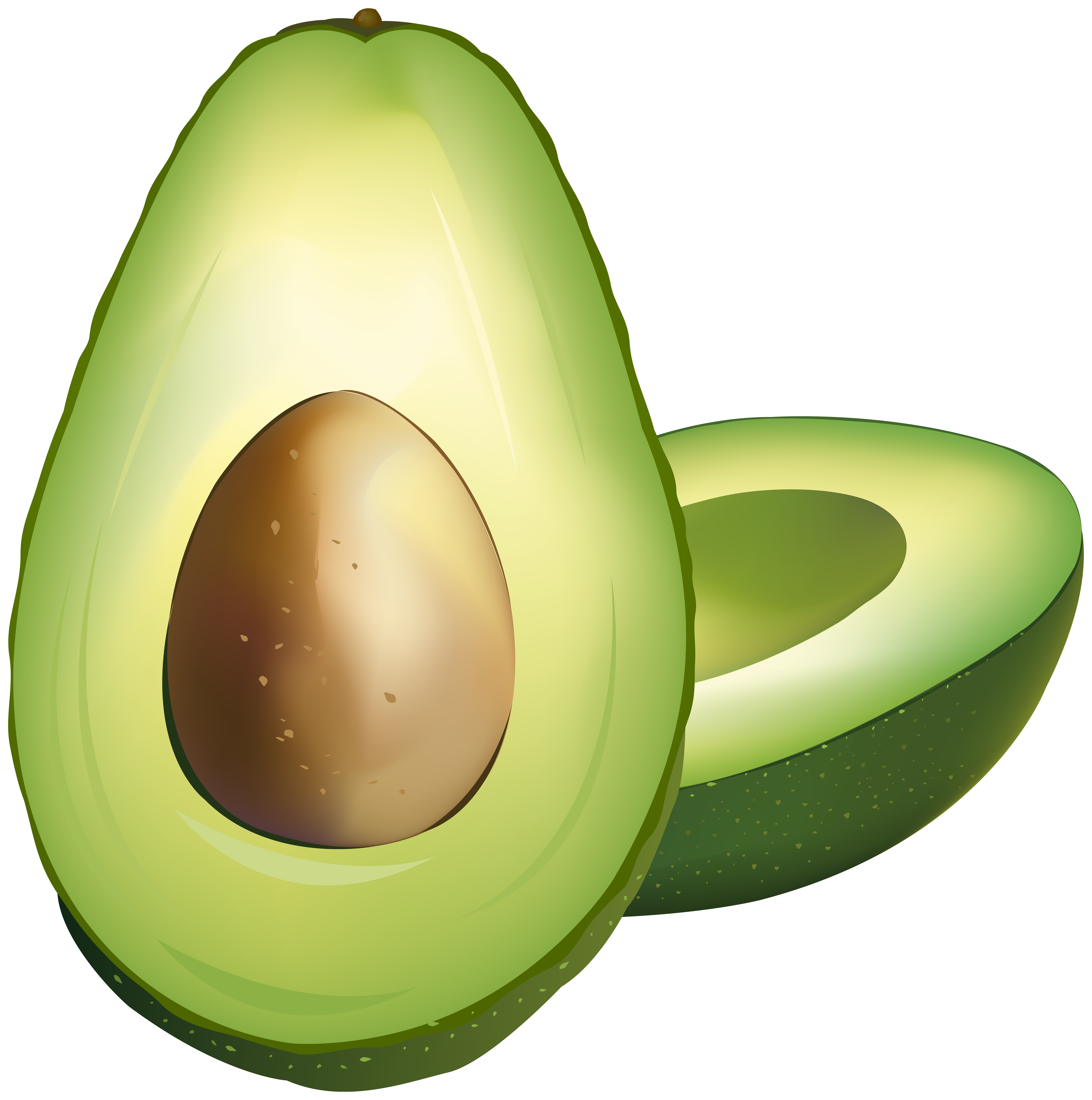 Avocado Clipart Avocado Fruit Avocado Avocado Fruit Transparent FREE
