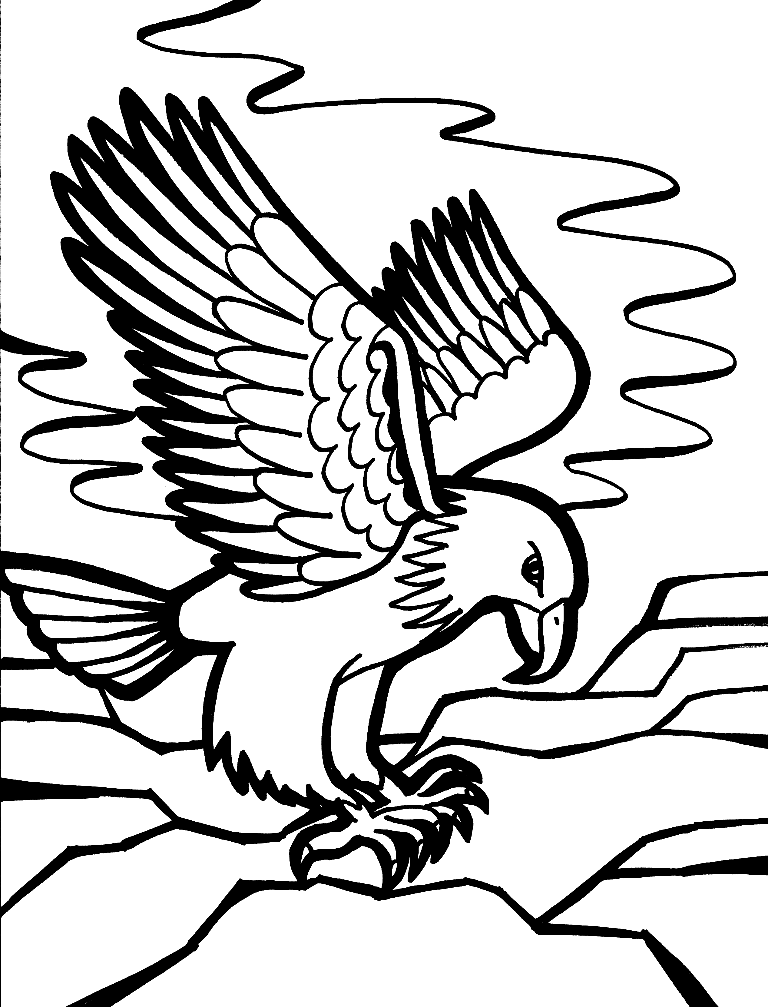 Bald Eagle Printable Coloring Page Free Printable Coloring Pages