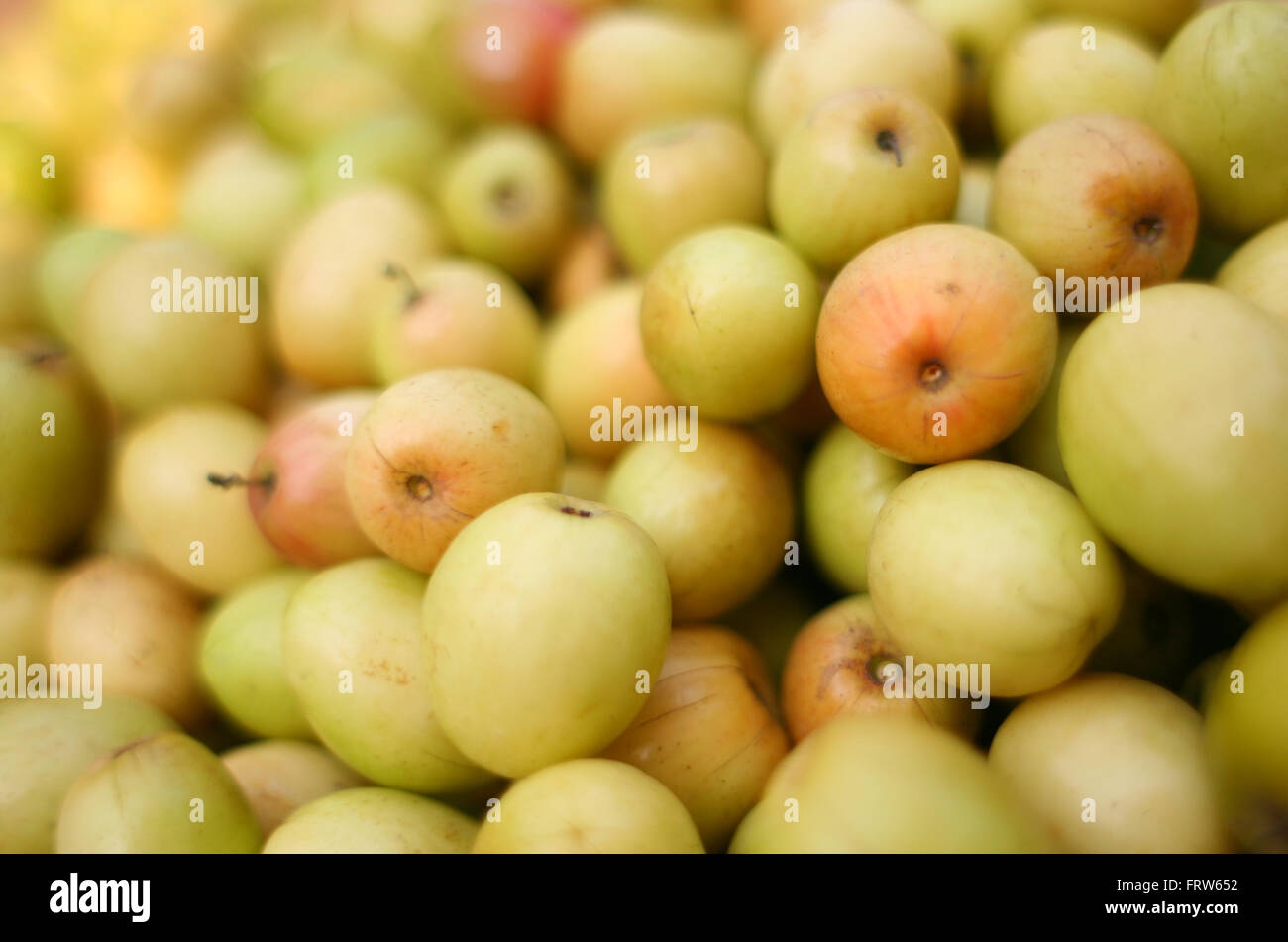 Bangladeshi Fruits Hi res Stock Photography And Images Alamy