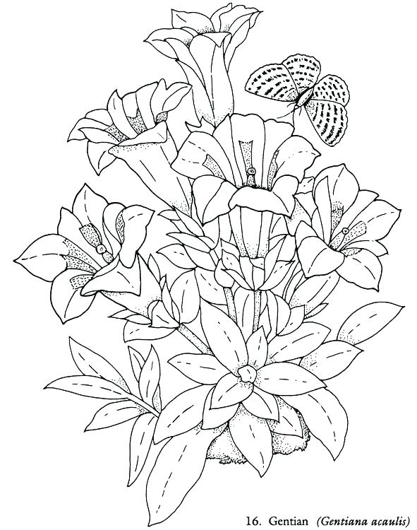 beautiful printable pictures