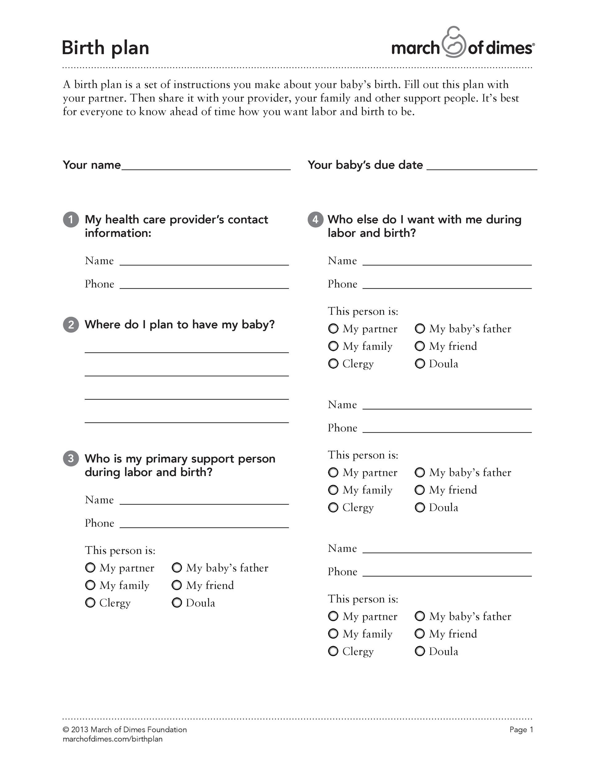 Birth Plan Template 04 Template Lab