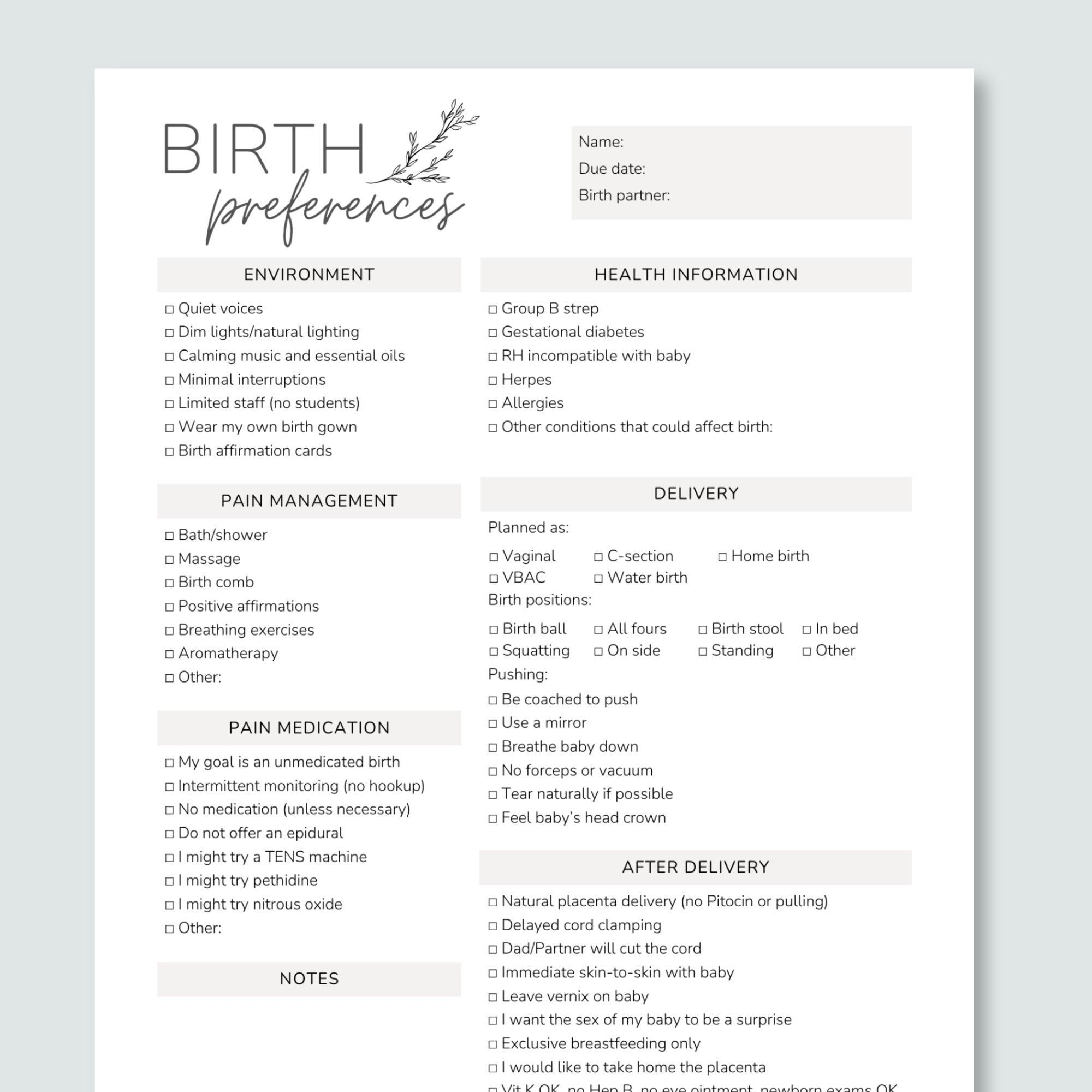 Birth Plan Template Birth Plan Printable Editable Birth Preferences 