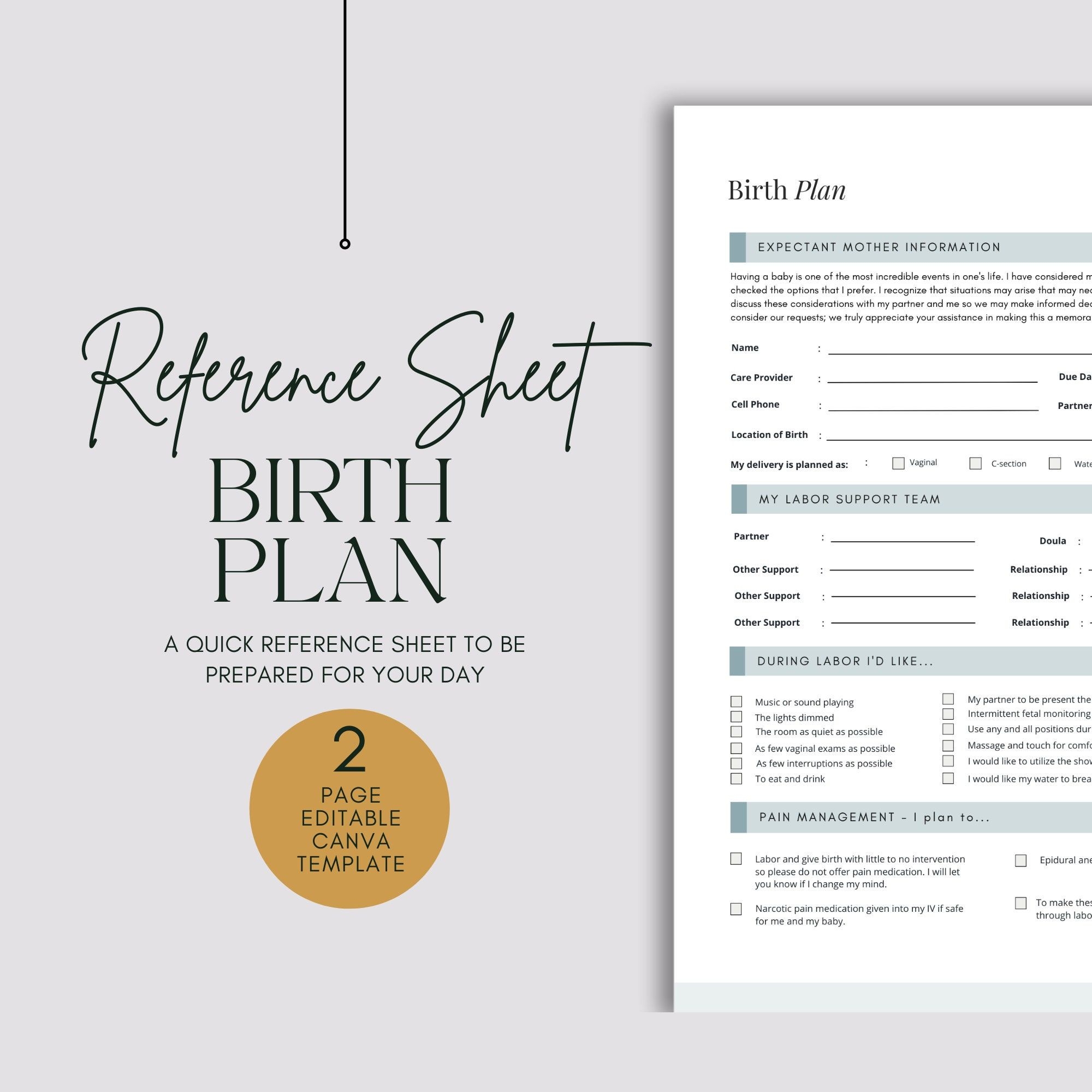 Birth Plan Template Editable Birth Plan Template Canva Etsy Birth 
