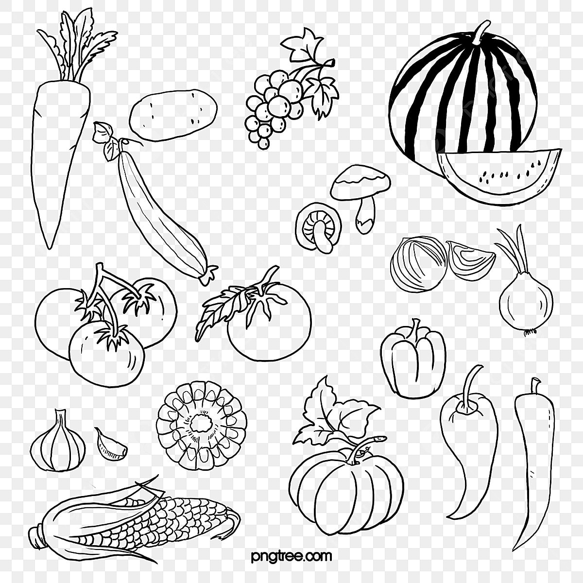 Black And White Fruits And Vegetables Fruit Drawing Vegetables 