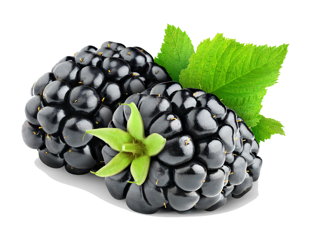 Blackberry Fruit PNG HD PNG All