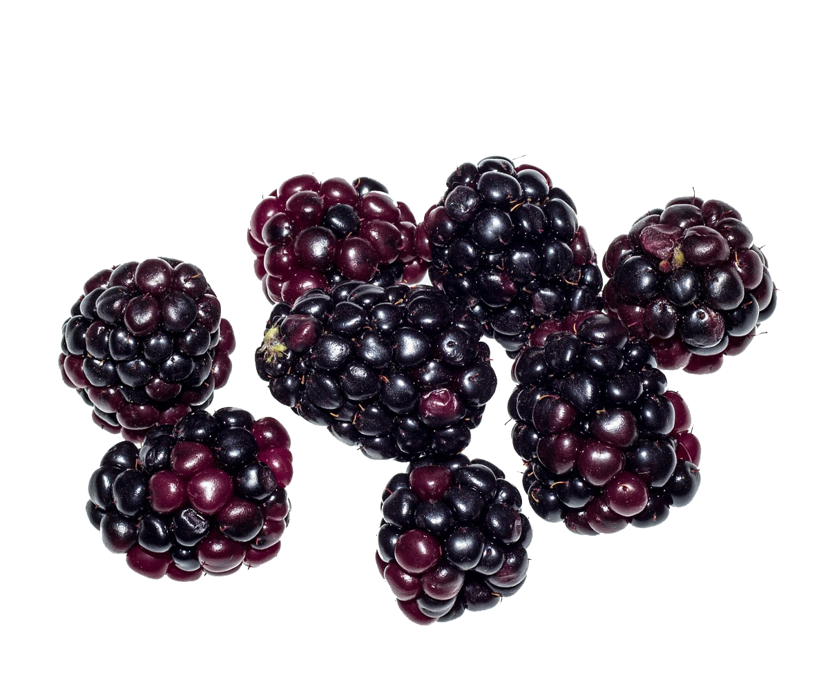 Blackberry Fruit PNG Images Transparent Free Download