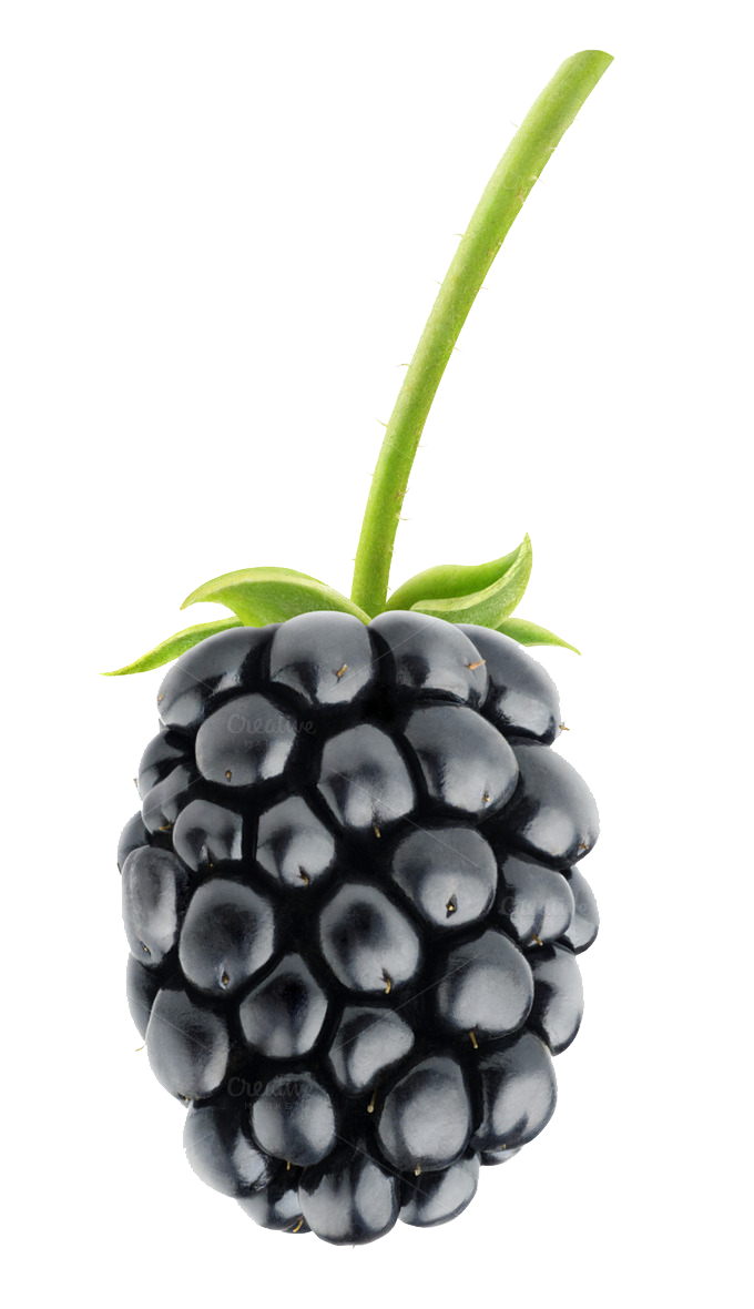 Blackberry Fruit PNG Pic PNG All
