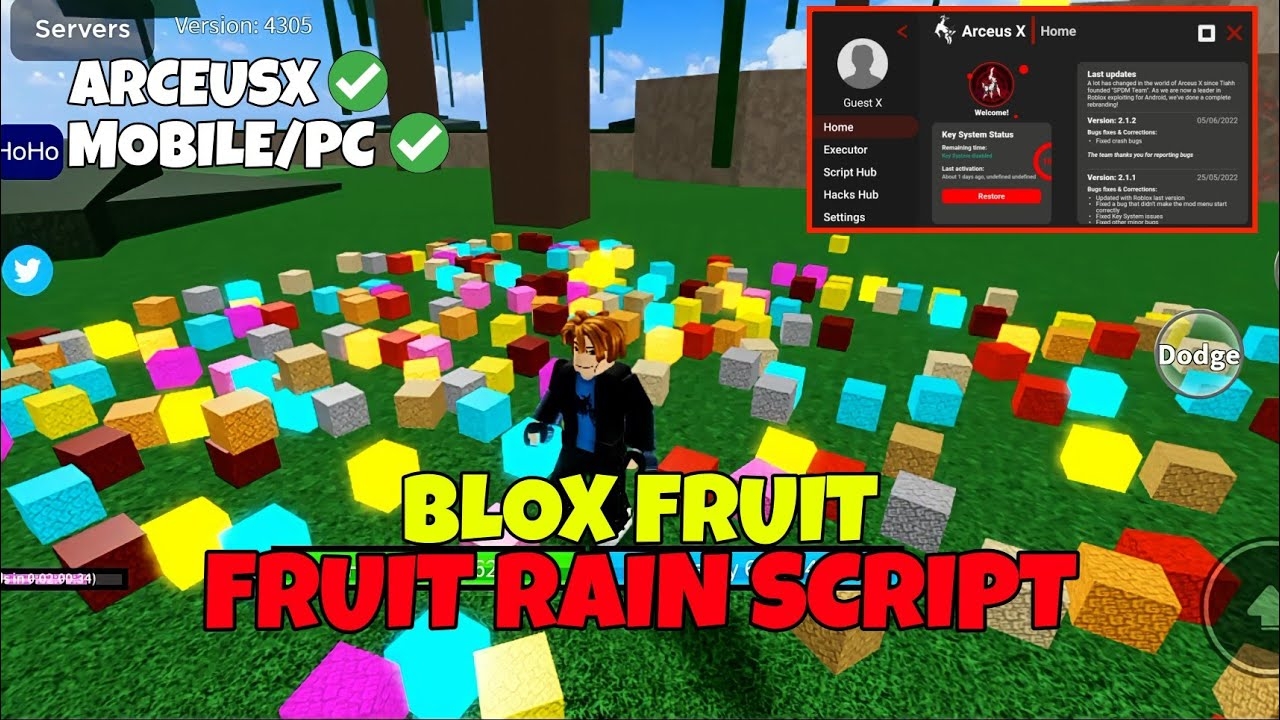 Blox Fruit Hack Rain Fruit Blox Fruits Rain Fruit Script Pc Mobile My