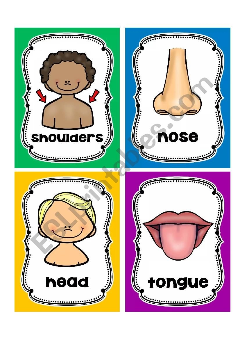free printable body parts flashcards with pictures pdf