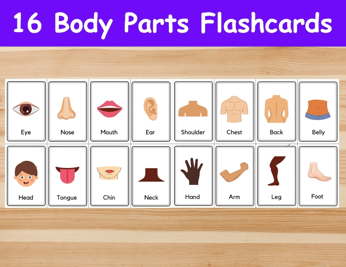 Body Parts Printable Flashcards Printable Online