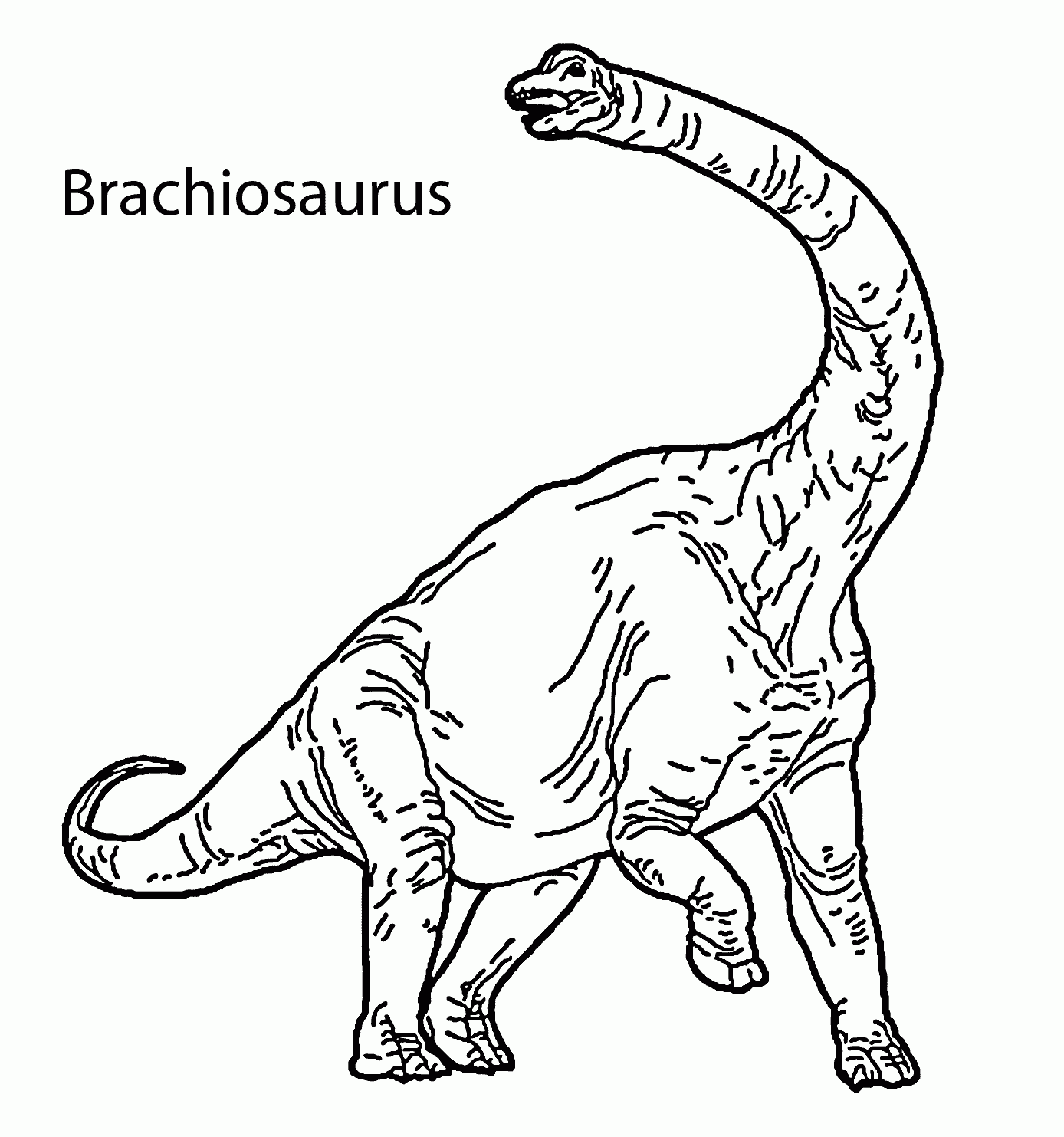 Brachiosaurus Printable Printable Word Searches