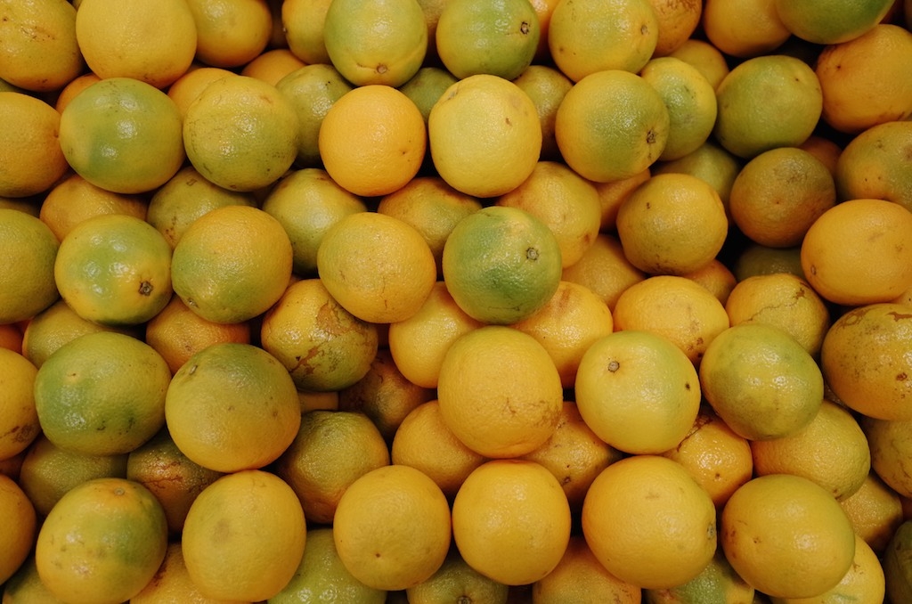 Brazil fruits 3 23 WORLD ODYSSEY 23 Laps Rond The World