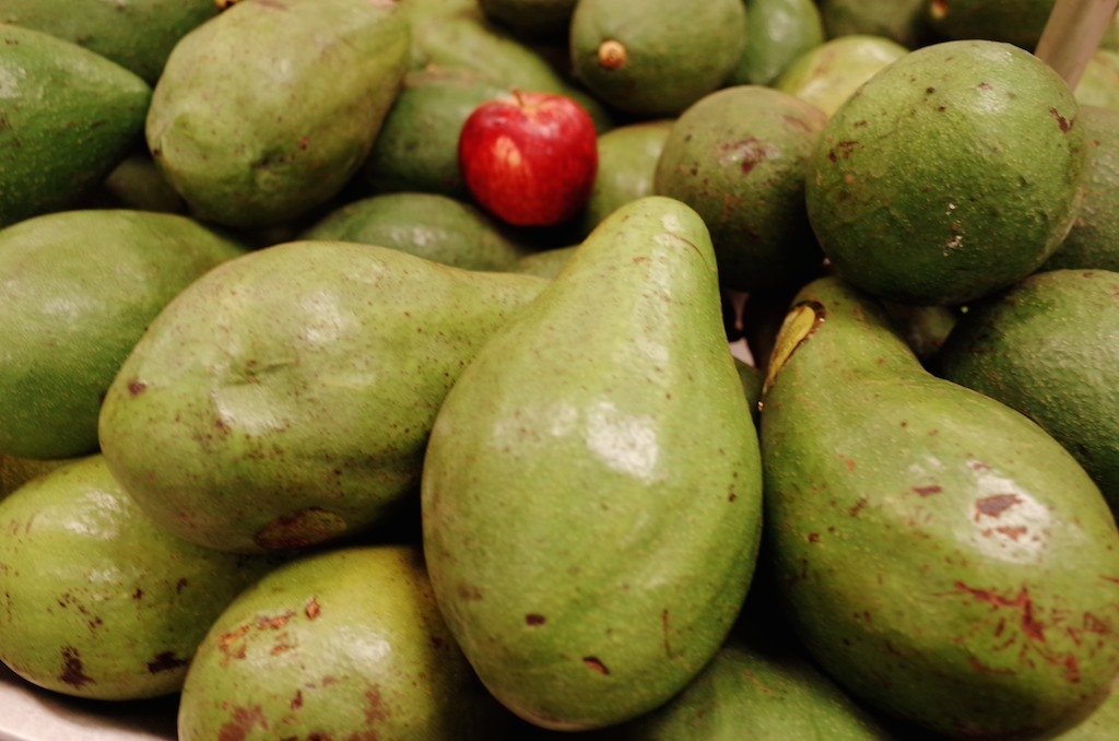 Brazil fruits 4 23 WORLD ODYSSEY 23 Laps Rond The World