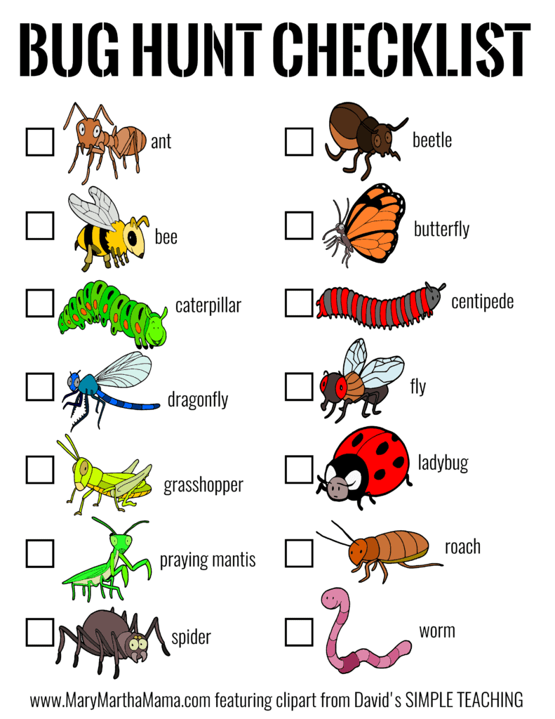 bug printable activities
