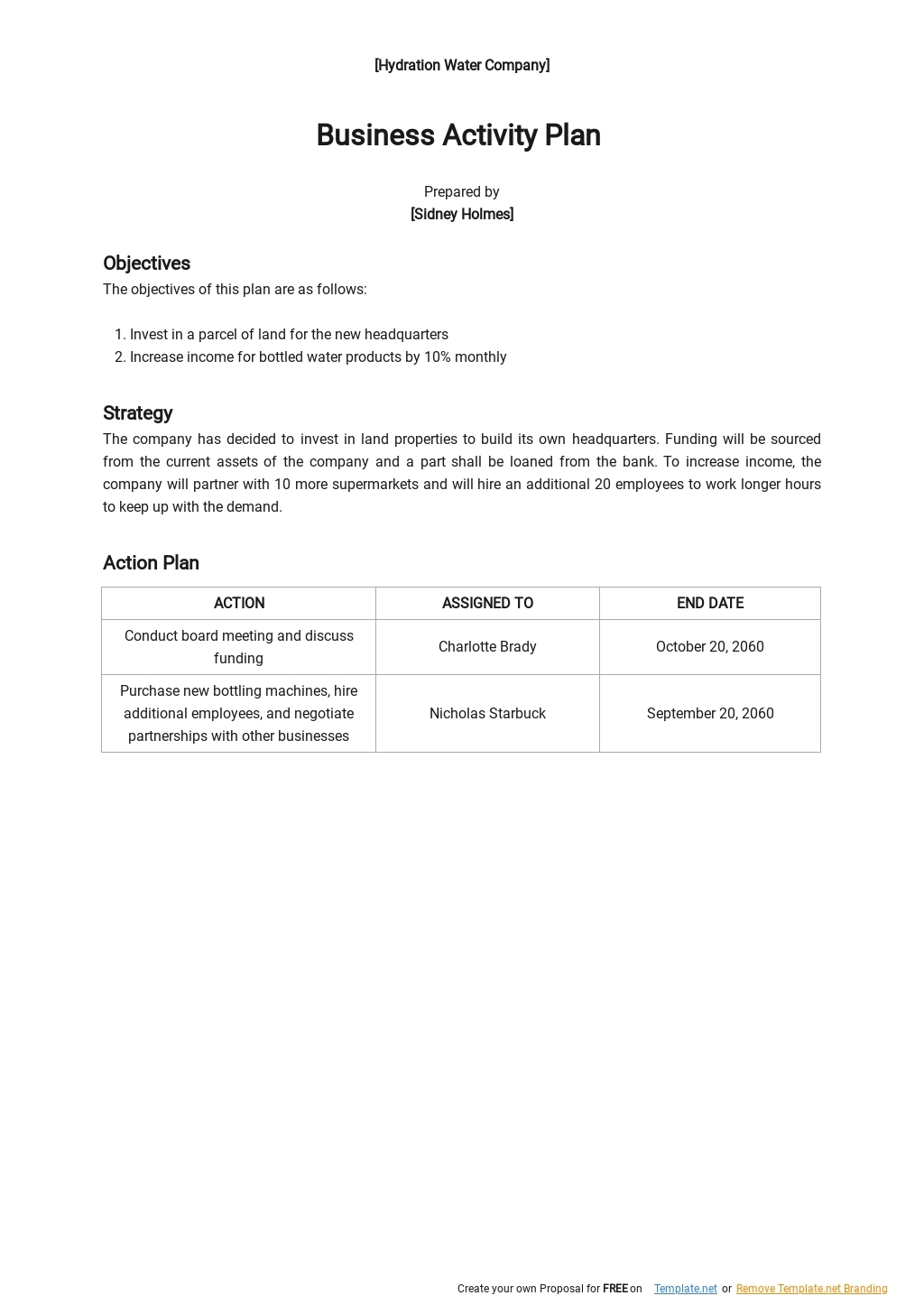 Business Activity Plan Template Google Docs Word Apple Pages PDF 