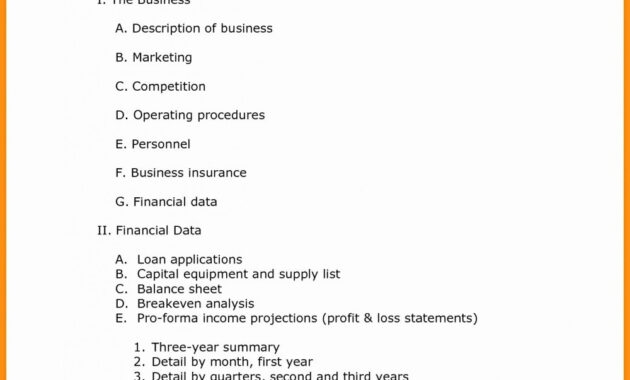 Business Plan Template Pdf Free Download International Market For