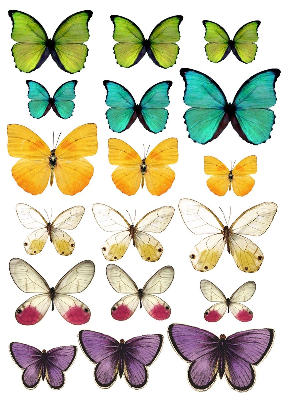 Butterfly Printable Butterfly Coloring Page Butterfly Images