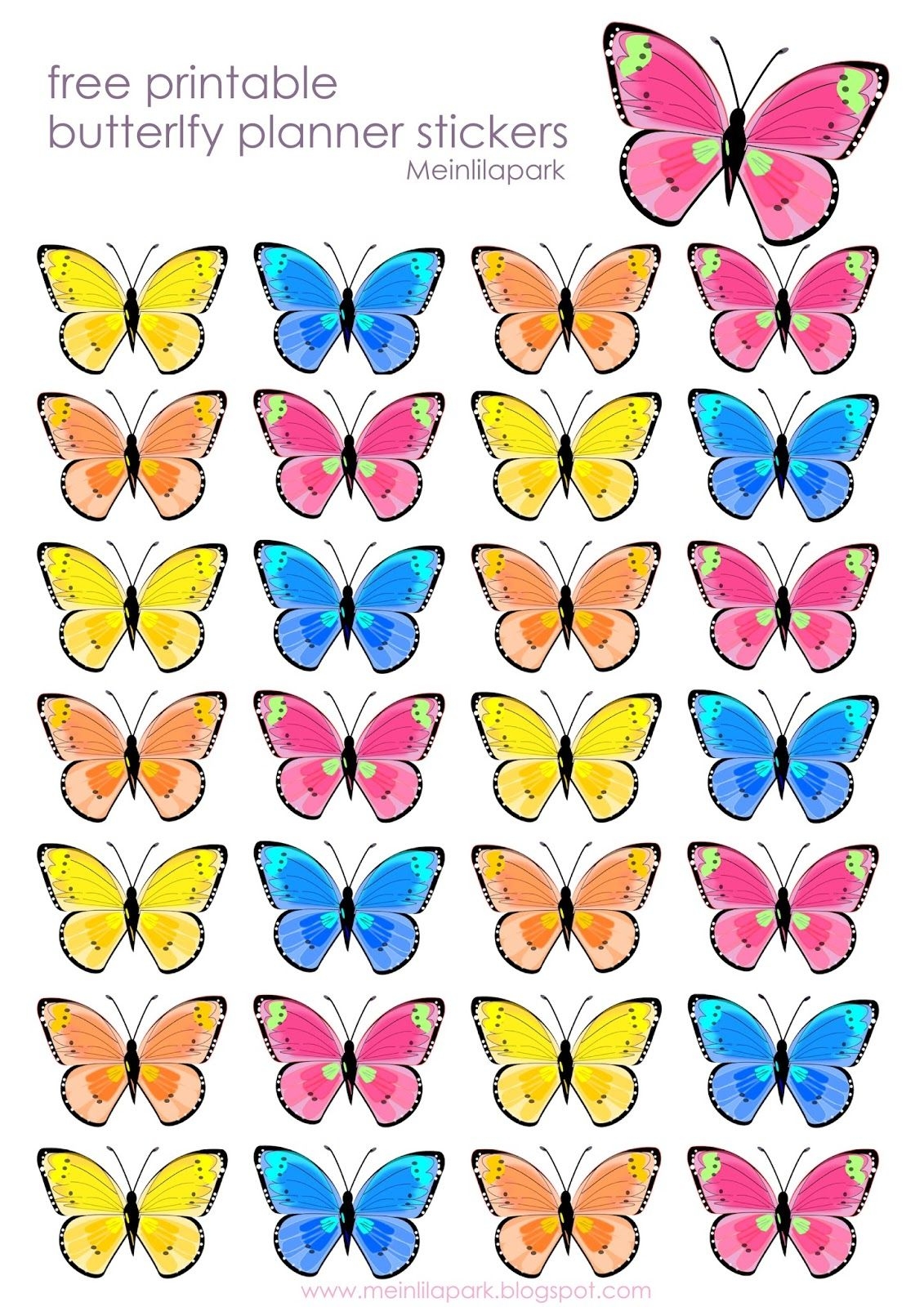 Butterfly Printable Pictures Butterfly Mania