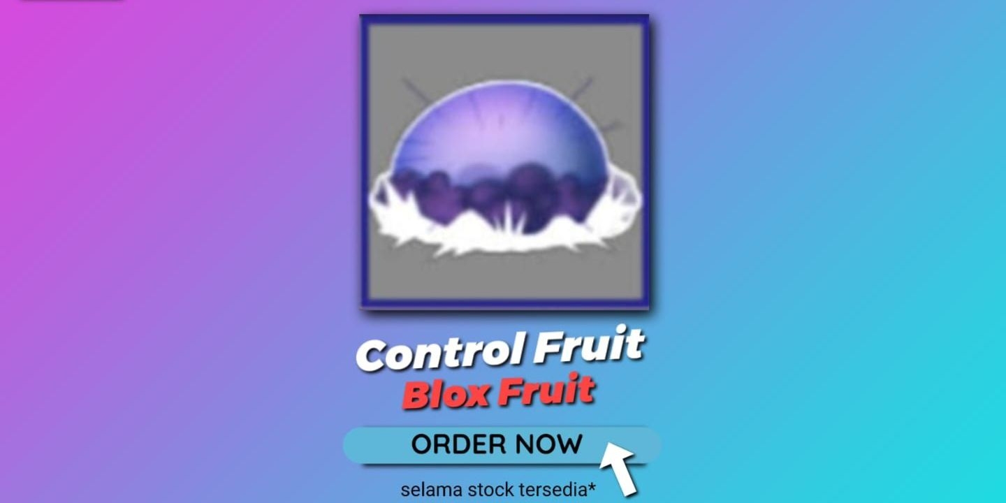 Buy Item Control Fruit Blox Fruit Roblox Most Complete And Cheapest