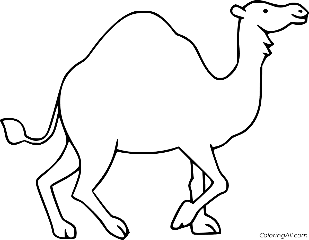 free printable camel pictures