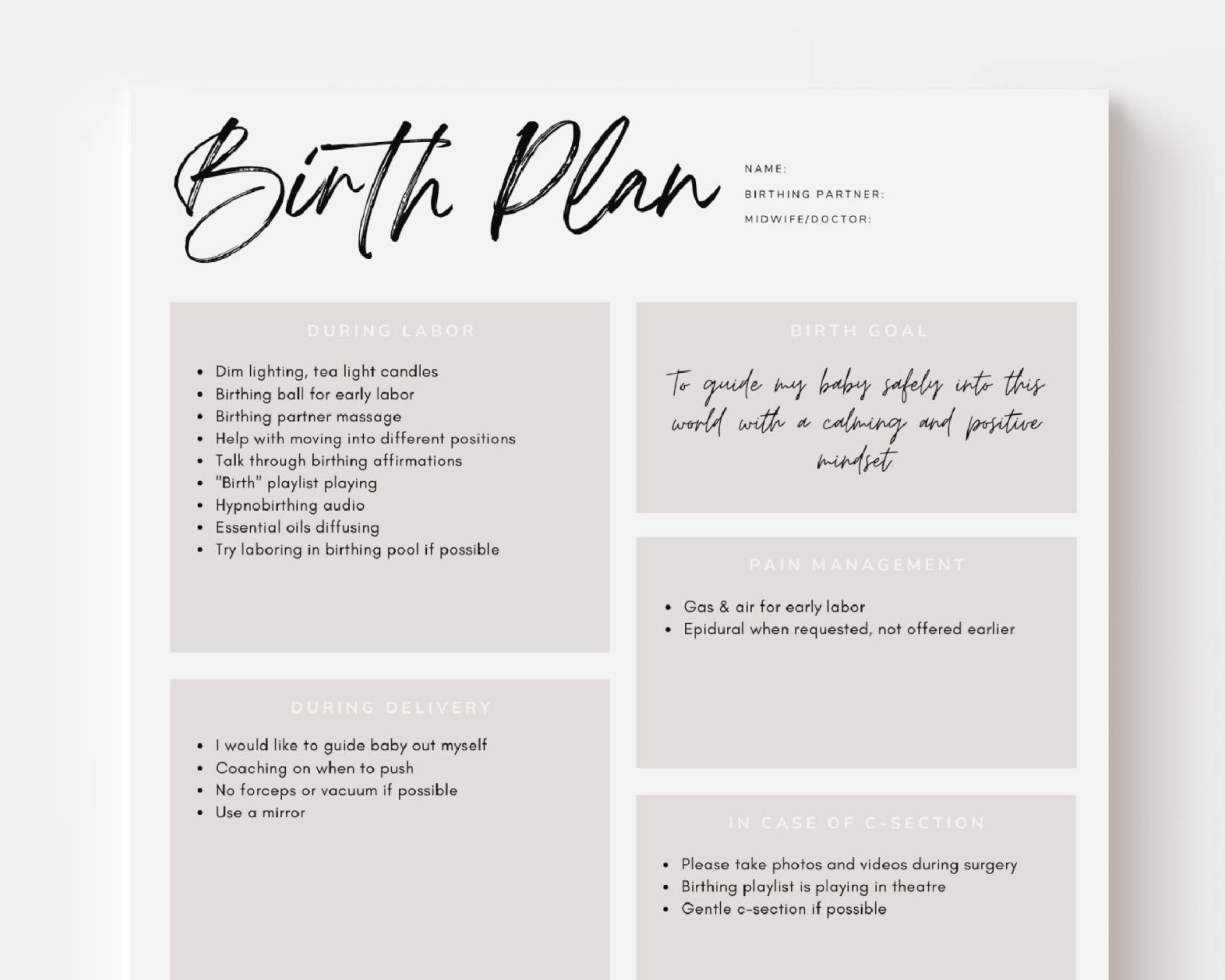 Canva Birth Plan Template