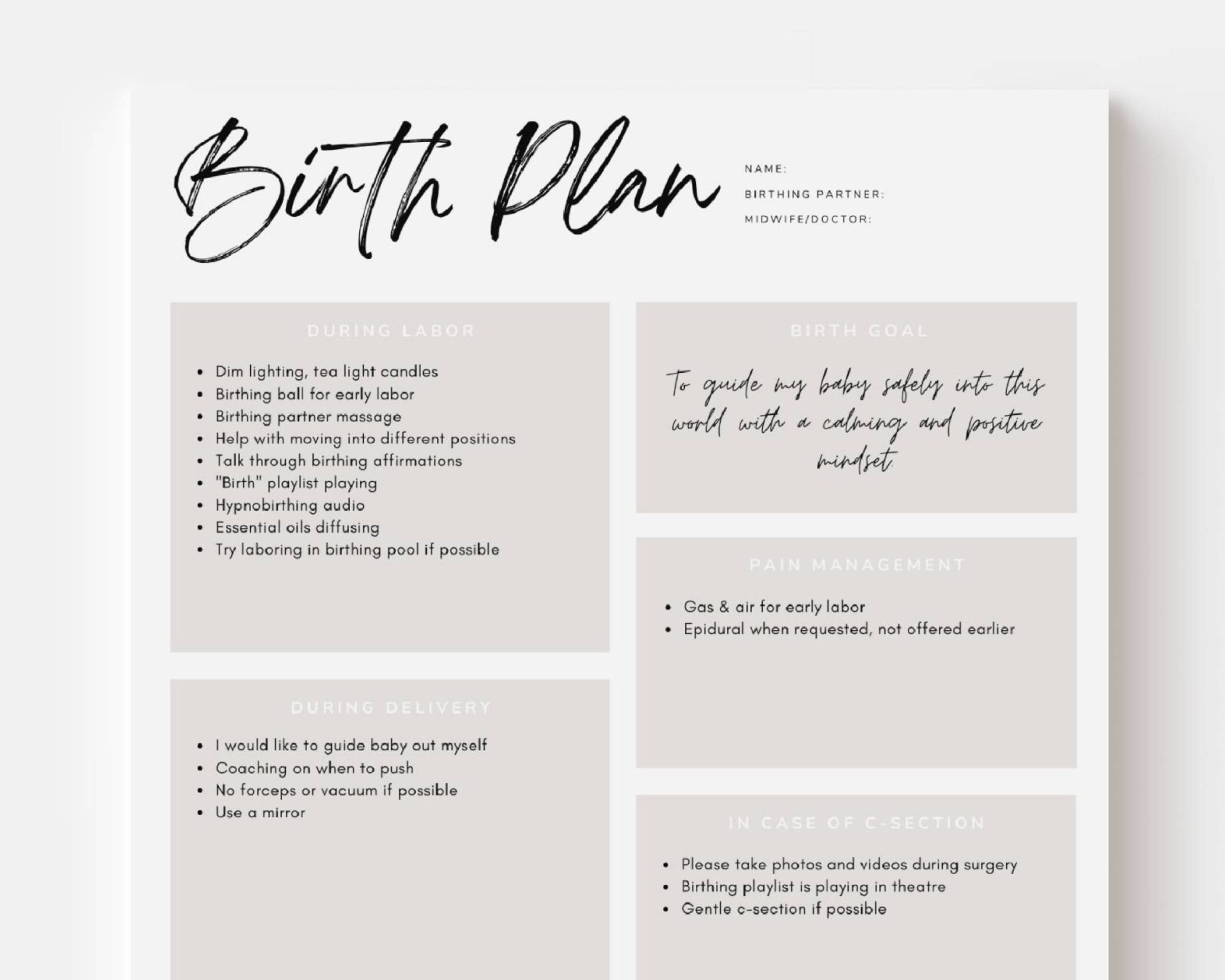 Canva Birth Plan Template