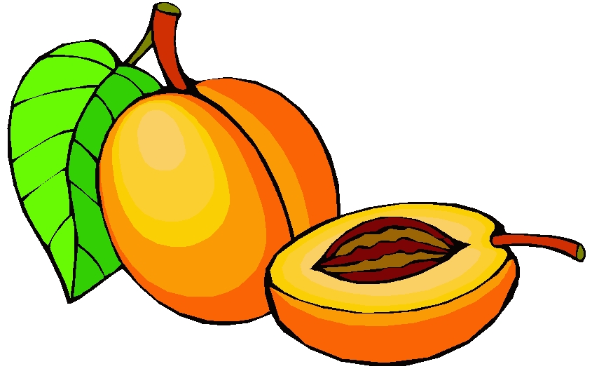 castor fruit picture