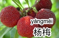 Chinese Fruits Chinese Lesson