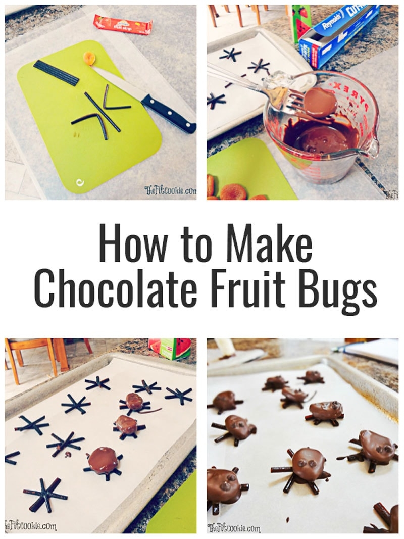 Chocolate Fruit quot Bugs quot Halloween Candy The Fit Cookie