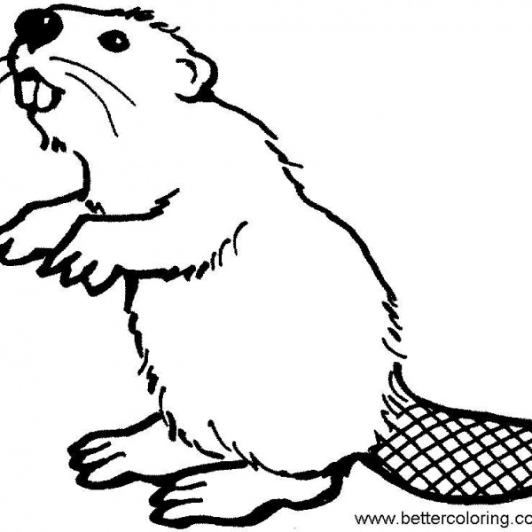 Christmas Beaver Coloring Pages Free Printable Coloring Pages