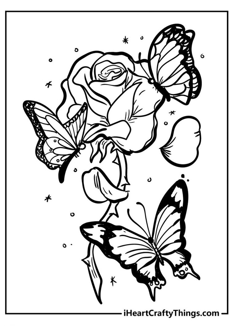 free printable coloring pictures of roses