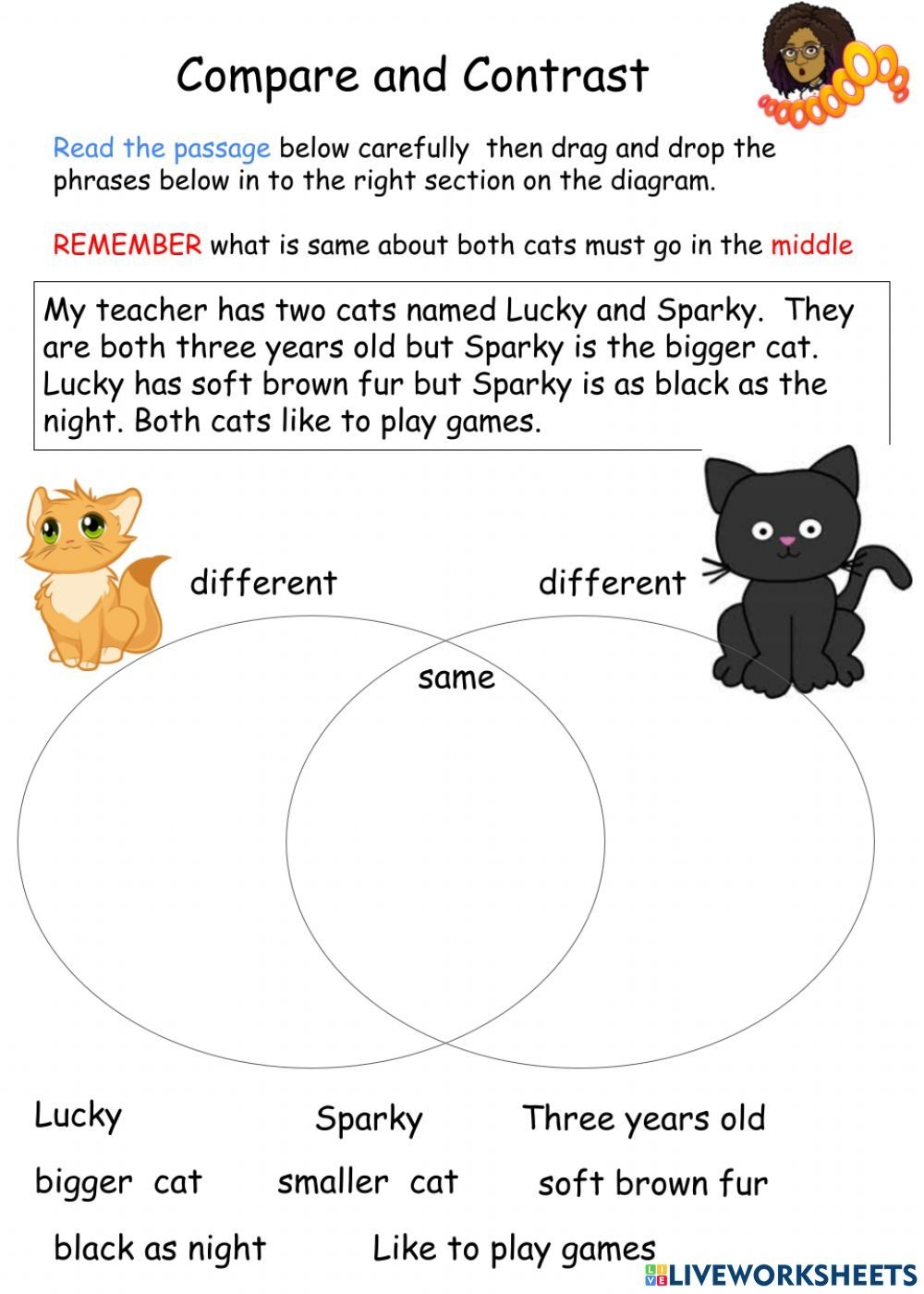 Compare And Contrast Worksheet For Kindergarten Students