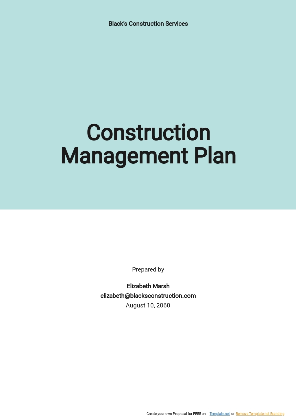 Construction Program Management Plan Template Google Docs Word 