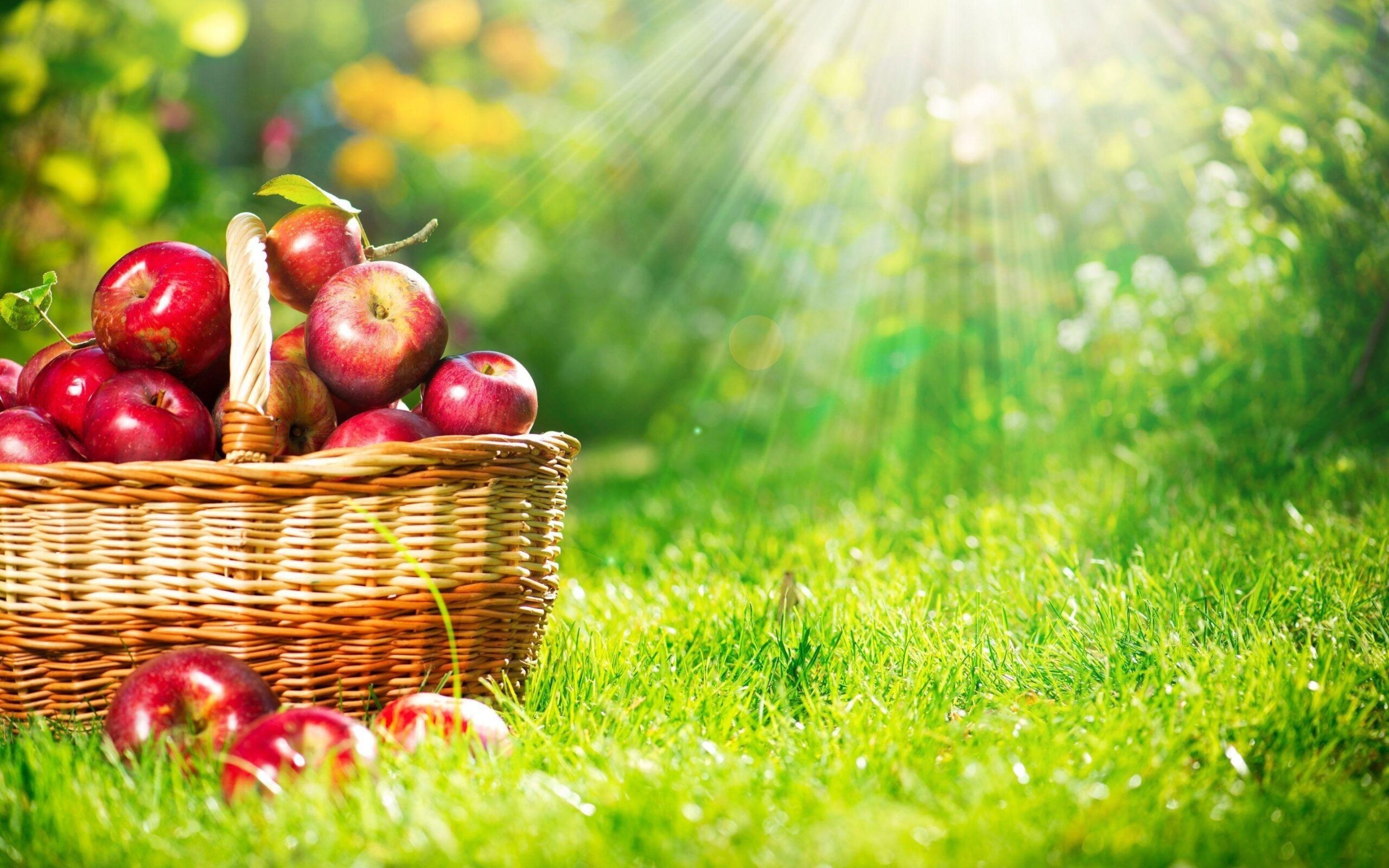 Cool Fruit Wallpapers Top Free Cool Fruit Backgrounds WallpaperAccess