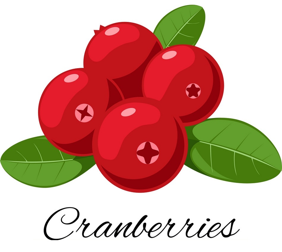 Cranberries Fruit ClipartWorld