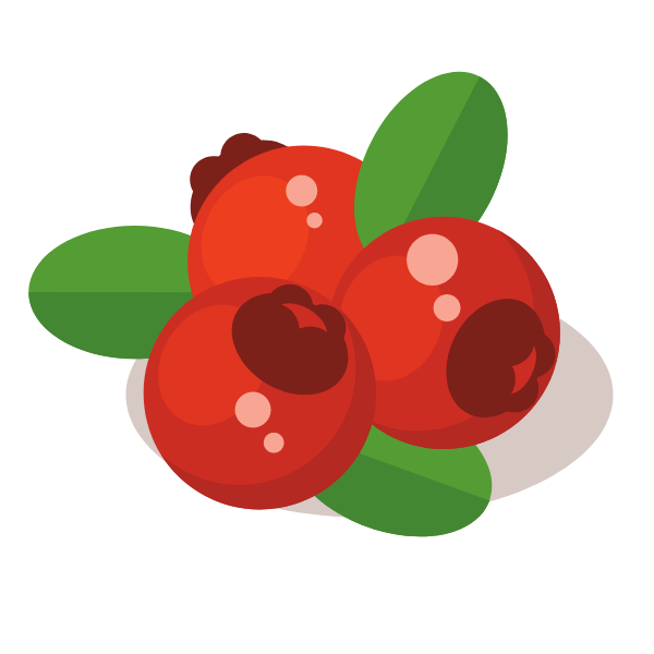 Cranberries Fruit Free SVG