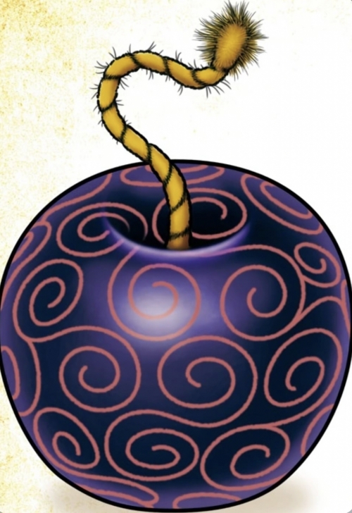 list of devil fruits with pictures