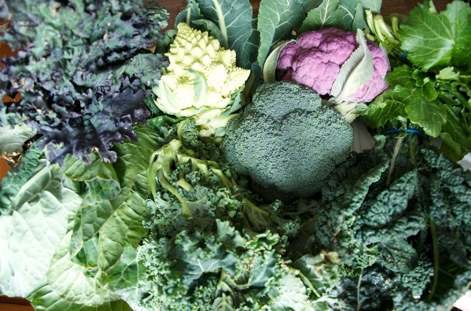 Cruciferous Vegetables Ultimate List Guide Dre Campbell Farm