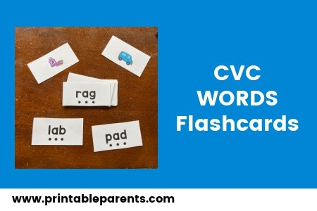 CVC Words Flashcards Printable Printable Parents