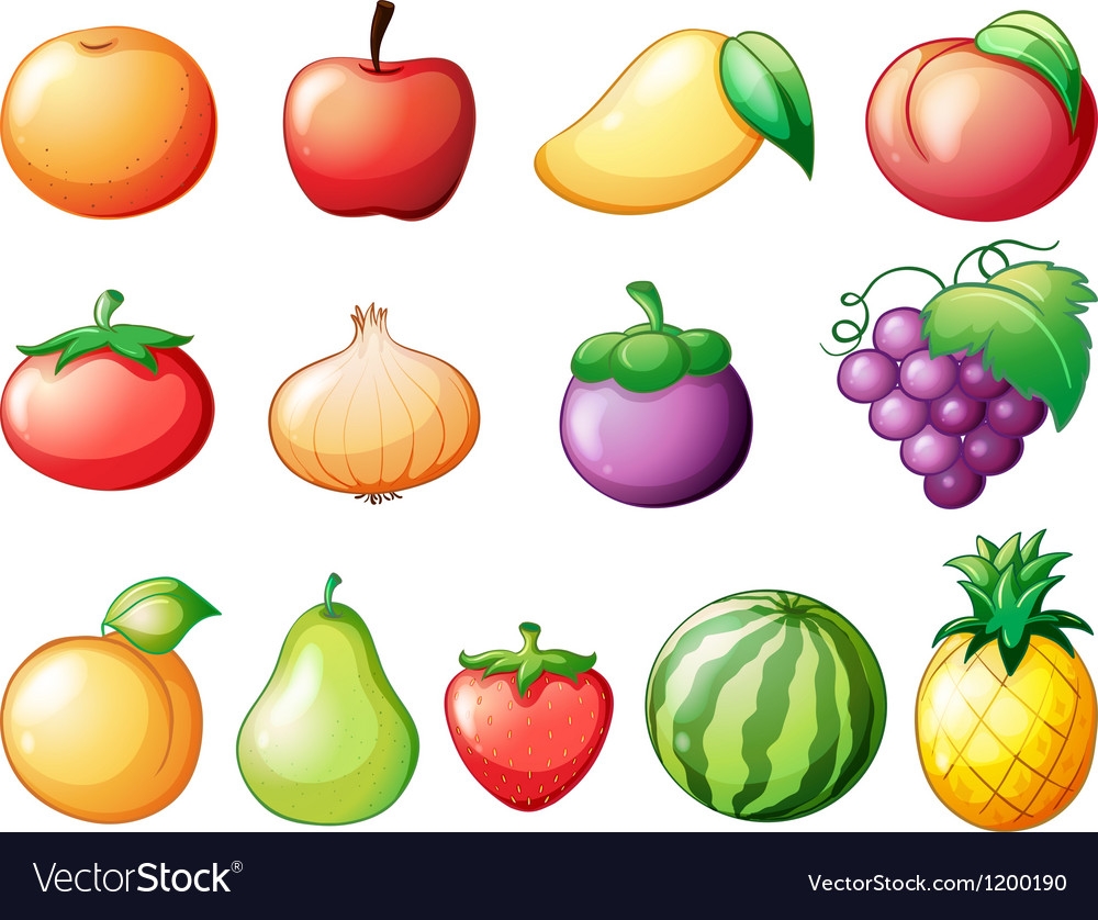 Different Kinds Of Fruits Royalty Free Vector Image
