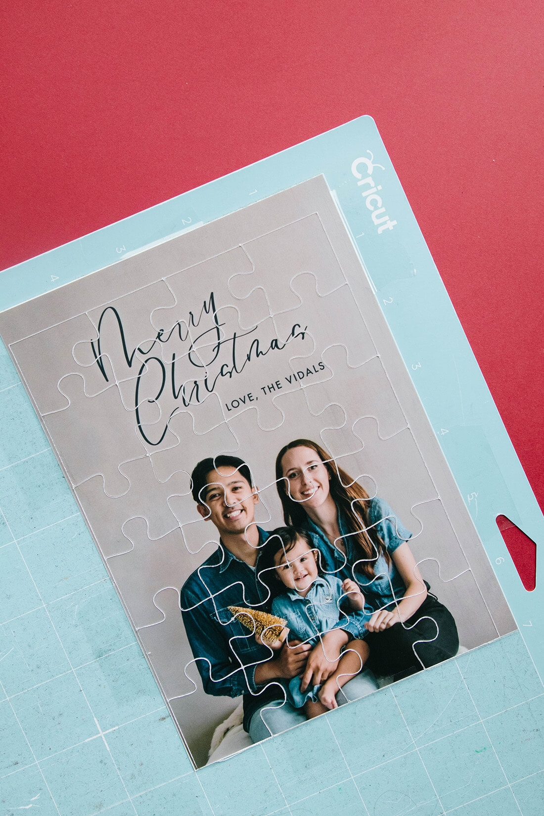 DIY Custom Cricut Jigsaw Puzzle Gilded Stork