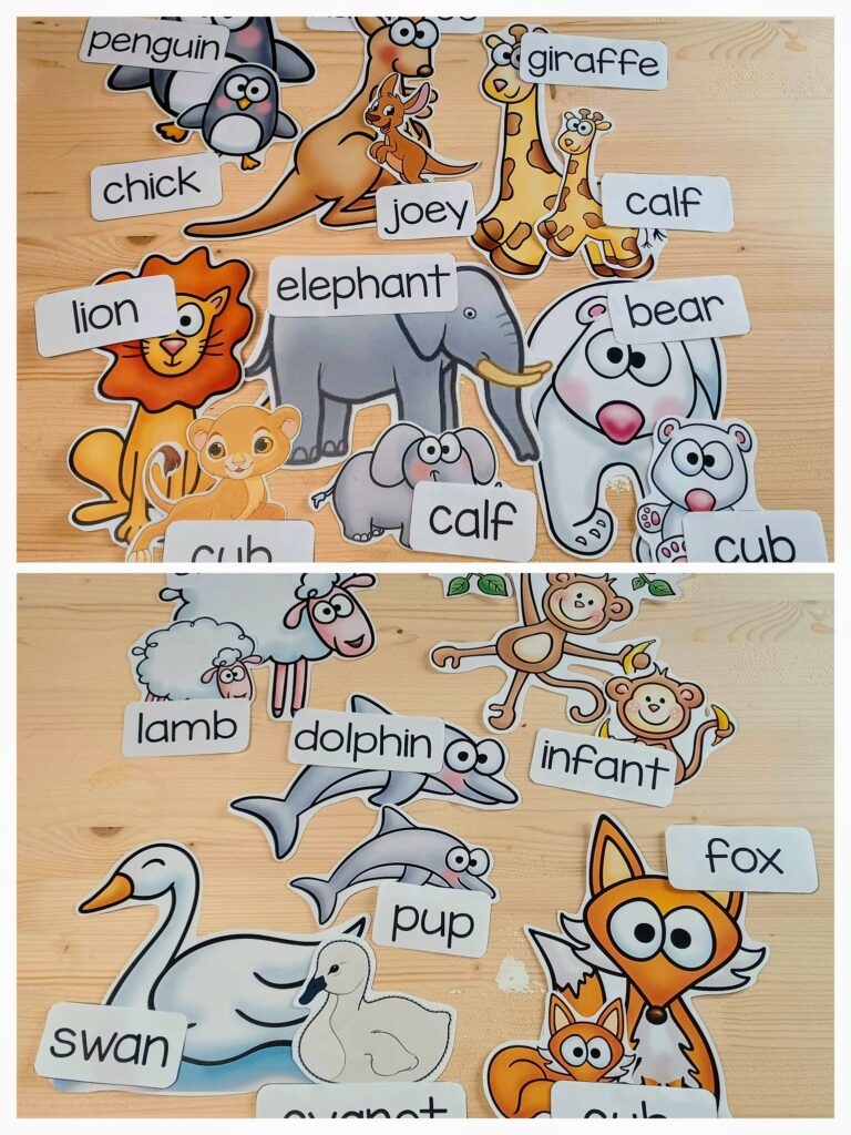 Does A Kangaroo Have A Mother Too Book Companion NBpreKactivities
