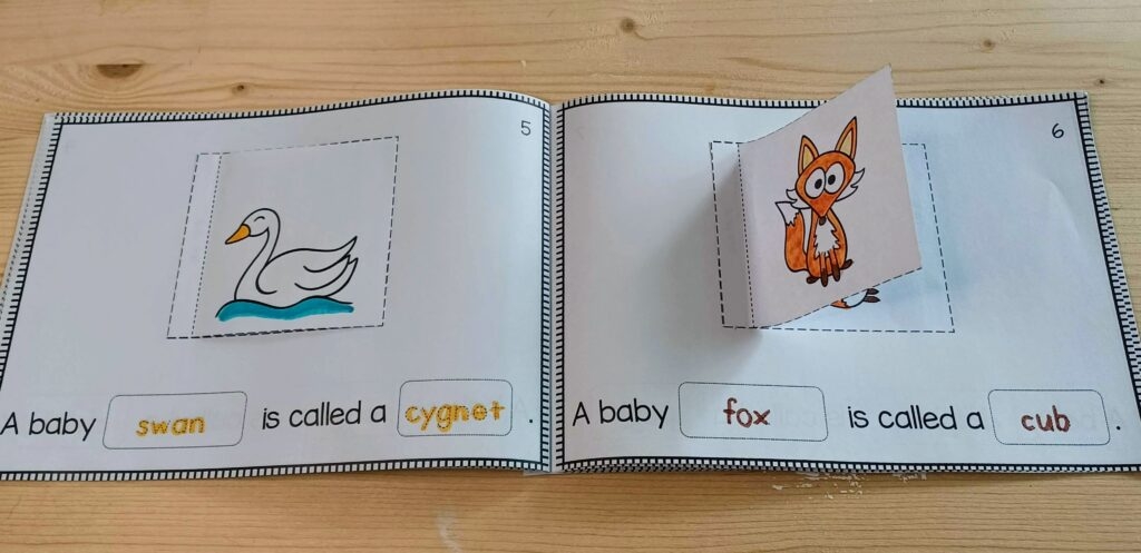 does a kangaroo have a mother too printable activities
