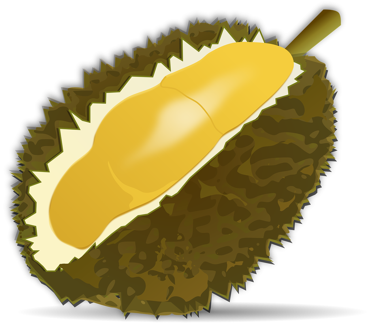 Download Durian Fruit Fruit Food Royalty Free Vector Graphic Pixabay
