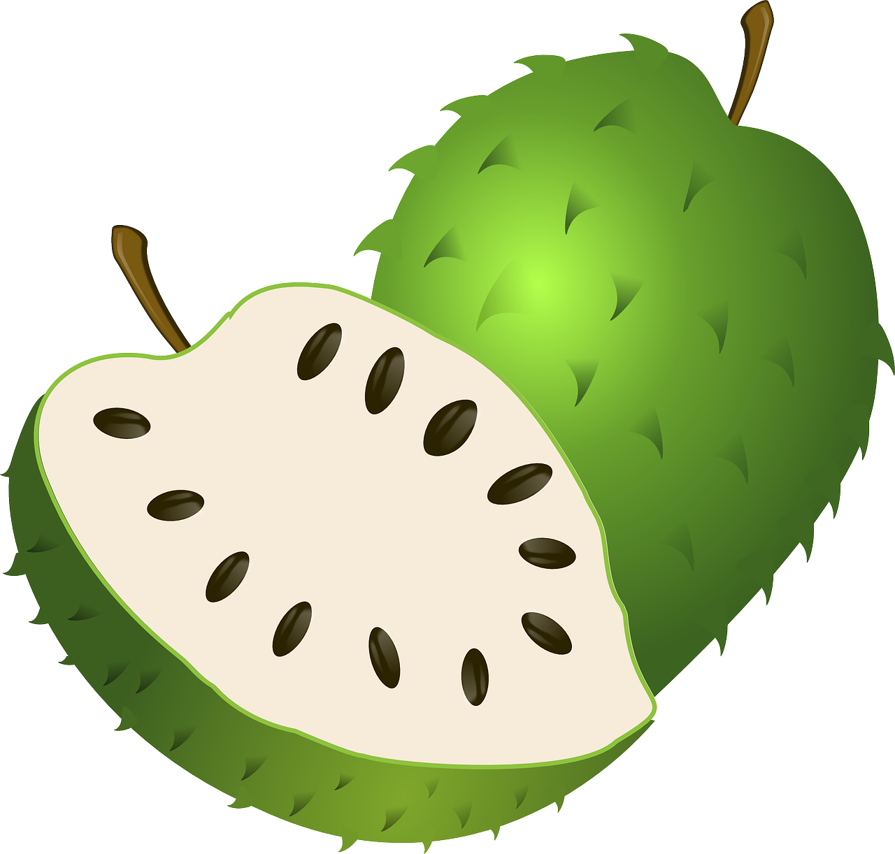 Download Guanabana Soursop Fruit Royalty Free Vector Graphic Pixabay